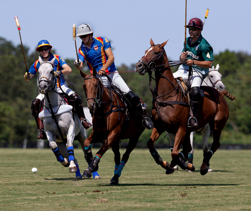 New Orleans Polo Club